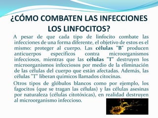 ¿CÓMO COMBATEN LAS INFECCIONES LOS LINFOCITOS?A pesar de que cada tipo de linfocito combate las infecciones de una forma diferente, el objetivo de estos es el mismo: proteger al cuerpo. Las células "B" producen anticuerpos específicos contra microorganismos infecciosos, mientras que las células "T" destruyen los microorganismos infecciosos por medio de la eliminación de las células del cuerpo que están afectadas. Además, las células "T" liberan químicos llamados citocinas.   Otros tipos de glóbulos blancos como por ejemplo, los fagocitos (que se tragan las células) y las células asesinas por naturaleza (células citotóxicas), en realidad destruyen al microorganismo infeccioso.
