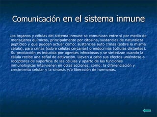 Comunicación  en el sistema inmune Los órganos y células del sistema inmune se comunican entre sí por medio de mensajeros químicos, principalmente por citosina, sustancias de naturaleza peptídico y que pueden actuar como: sustancias auto crinas (sobre la misma célula), para crinas (sobre células cercanas) o endocrinas (células distantes). Su producción es inducida por agentes infecciosos y se sintetizan cuando la célula recibe una señal de activación. Llevan a cabo sus efectos uniéndose a receptores de superficie de las células y aparte de las funciones inmunológicas intervienen en otras acciones, como: la diferenciación y crecimiento celular y la síntesis y/o liberación de hormonas. 