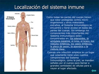Localización del sistema inmune   Como todas las partes del cuerpo tienen que estar protegidas contra micro-organismos u otros materiales extraños, el Sistema Inmunológico se encuentra y tiene acceso en todas las partes del cuerpo. Sin embargo los componentes más importantes del Sistema Inmunológico están concentrados en:  los adenoides, la amígdala palatina, el timo, el brazo, los nódulos linfáticos, los vasos linfáticos, la placa de peyer, la apendice y la médula ósea.  Cuando una infección empieza en un lugar que solamente tiene unos cuantos componentes del Sistema Inmunológico, como la piel, se mandan señales por el cuerpo para llamar a grandes cantidades de células para q vayan al lugar afectado. 