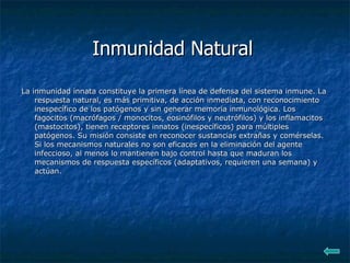 Inmunidad Natural La inmunidad innata constituye la primera línea de defensa del sistema inmune. La respuesta natural, es más primitiva, de acción inmediata, con reconocimiento inespecífico de los patógenos y sin generar memoria inmunológica. Los fagocitos (macrófagos / monocitos, eosinófilos y neutrófilos) y los inflamacitos (mastocitos), tienen receptores innatos (inespecíficos) para múltiples patógenos. Su misión consiste en reconocer sustancias extrañas y comérselas. Si los mecanismos naturales no son eficaces en la eliminación del agente infeccioso, al menos lo mantienen bajo control hasta que maduran los mecanismos de respuesta específicos (adaptativos, requieren una semana) y actúan.  