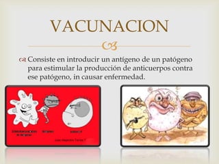 VACUNACION

 Consiste en introducir un antígeno de un patógeno
para estimular la producción de anticuerpos contra
ese patógeno, in causar enfermedad.

 