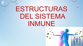 ESTRUCTURAS
DEL SISTEMA
INMUNE
 
