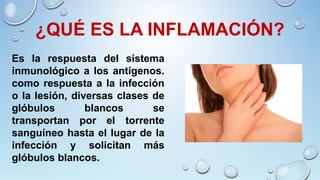 ¿QUÉ ES LA INFLAMACIÓN?
Es la respuesta del sistema
inmunológico a los antígenos.
como respuesta a la infección
o la lesión, diversas clases de
glóbulos blancos se
transportan por el torrente
sanguíneo hasta el lugar de la
infección y solicitan más
glóbulos blancos.
 