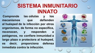 SISTEMA INMUNITARIO
INNATO
 Comprende las células y los
mecanismos que defienden
al huésped de la infección por otros
organismos, de forma no específica,
reconocen, y responden a
patógenos, no confiere inmunidad a
largo plazo o protectora al huésped,
es decir, proporciona defensa
inmediata contra la infección.
 