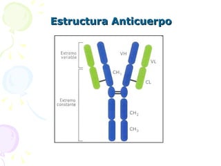 Estructura Anticuerpo 