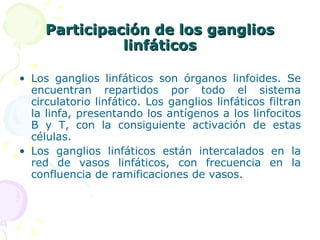 Participación de los ganglios linfáticos Los ganglios linfáticos son órganos linfoides. Se encuentran repartidos por todo el sistema circulatorio linfático. Los ganglios linfáticos filtran la linfa, presentando los antígenos a los linfocitos B y T, con la consiguiente activación de estas células. Los ganglios linfáticos están intercalados en la red de vasos linfáticos, con frecuencia en la confluencia de ramificaciones de vasos.  
