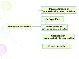 Inmunidad Adaptativa Ocurre durante el Tiempo de vida de un individuo Es Específica Actúa sobre un  patógeno en particular Garantiza un Largo periodo de protección Posee memoria 