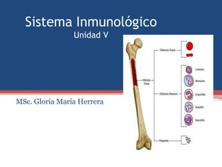 Sistema InmunológicoUnidad V MSc. Gloria María Herrera 