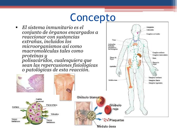Los síntomas de las lombrices a 7 bebés de un mes