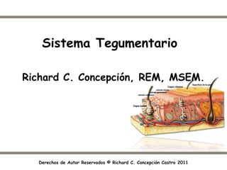 Sistema Tegumentario

Richard C. Concepción, REM, MSEM.




  Derechos de Autor Reservados © Richard C. Concepción Castro 2011
 