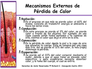 Mecanismos Externos de
        Pérdida de Calor
 Radiación:
    Es el proceso  en que más se pierde calor: el 60% del
     mismo. Consiste en transmitir energía al ambiente o
     hacia los seres vivos.
 Conducción:
    En  este proceso se pierde el 3% del calor, se pierde
     calor a través de los objetos. Por ejemplo: en una
     clase cuando están todos sentados y te cambias de
     silla, sientes el calor que dejó el otro en la silla.
 Convección:
    Es la pérdida de calor desde la piel a la capa de aire
     que envuelve tu cuerpo. Éste se renueva por una capa
     más fría. Así se pierde el 12% del calor, la tela (ropa)
     disminuye la pérdida.
 Evaporación:
    Se  pierde así el 22% del calor corporal, mediante el
     sudor, debido a que el agua tiene un elevado calor
     específico, y para evaporarse necesita absorber
     calor, y lo toma del cuerpo, el cual se enfría.
  Derechos de Autor Reservados © Richard C. Concepción Castro 2011
 