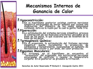 Mecanismos Internos de
        Ganancia de Calor
 Vasoconstricción:
    En el hipotálamo posterior existen centros nerviosos
     simpático encargados de enviar señales que causan una
     disminución del diámetro de los vasos sanguíneos
     cutáneos, ésta es la razón por la cual la gente tiene frío.
 Piloerección:
    La estimulación del sistema nervioso simpático, provoca
     la contracción de los músculos erectores, ubicados en la
     base de los pelos, lo que ocasiona que se levanten de la
     base de los pelos.
 Termogénesis       Química:
    En el organismo, la estimulación del Sistema nervioso
     simpático, puede incrementar la producción de
     adrenalina y noradrenalina, ocasionando un aumento de
     metabolismo celular y, por ende, del calor producido.
 Espasmos     Musculares:
   O    tiritones, en el hipotálamo se encuentra el
     "termostato" del organismo, son estructuras nerviosas
     encargadas de controlar y regular la temperatura
     corporal. En el posterior se produce la tiritación.

   Derechos de Autor Reservados © Richard C. Concepción Castro 2011
 