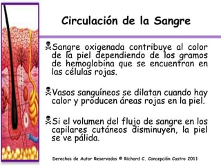 Circulación de la Sangre

Sangre   oxigenada contribuye al color
 de la piel dependiendo de los gramos
 de hemoglobina que se encuentran en
 las células rojas.

Vasos sanguíneos se dilatan cuando hay
 calor y producen áreas rojas en la piel.

Si el volumen del flujo de sangre en los
 capilares cutáneos disminuyen, la piel
 se ve pálida.

 Derechos de Autor Reservados © Richard C. Concepción Castro 2011
 