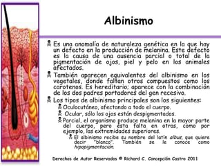 Albinismo
 Es una anomalía de naturaleza genética en la que hay
  un defecto en la producción de melanina. Este defecto
  es la causa de una ausencia parcial o total de la
  pigmentación de ojos, piel y pelo en los animales
  afectados.
 También aparecen equivalentes del albinismo en los
  vegetales, donde faltan otros compuestos como los
  carotenos. Es hereditario; aparece con la combinación
  de los dos padres portadores del gen recesivo.
 Los tipos de albinismo principales son los siguientes:
     Oculocutáneo, afectando a todo el cuerpo.
     Ocular, sólo los ojos están despigmentados.
     Parcial, el organismo produce melanina en la mayor parte
       del cuerpo, pero ésta falta en otras, como por
       ejemplo, las extremidades superiores.
          El albinismo recibe su nombre del latín albus, que quiere
           decir    "blanco".  También    se    le   conoce    como
           hipopigmentación.

  Derechos de Autor Reservados © Richard C. Concepción Castro 2011
 