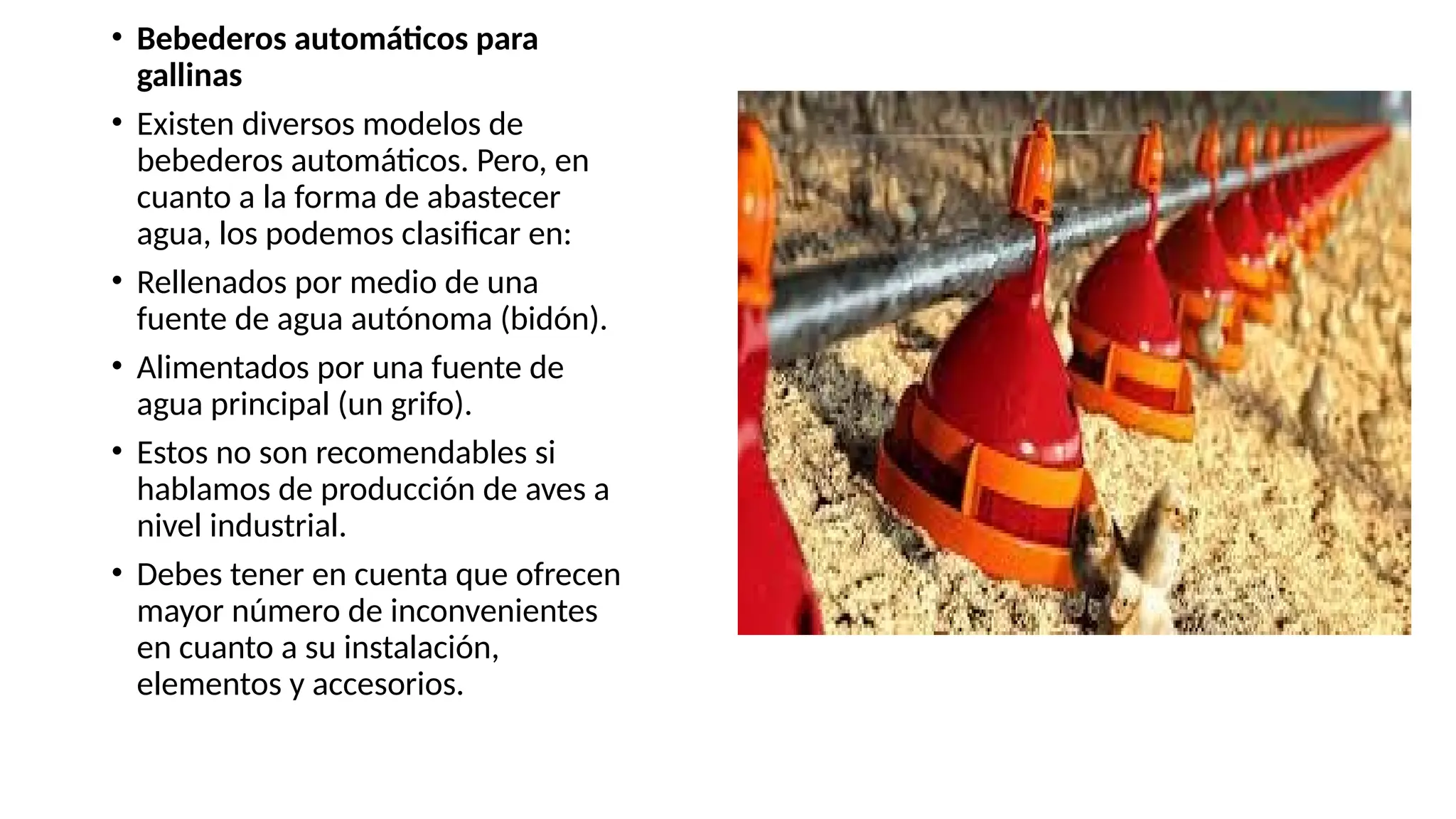 SISTEMA INTENSIVO DE ENGORDA DE GALLINAS.pptx