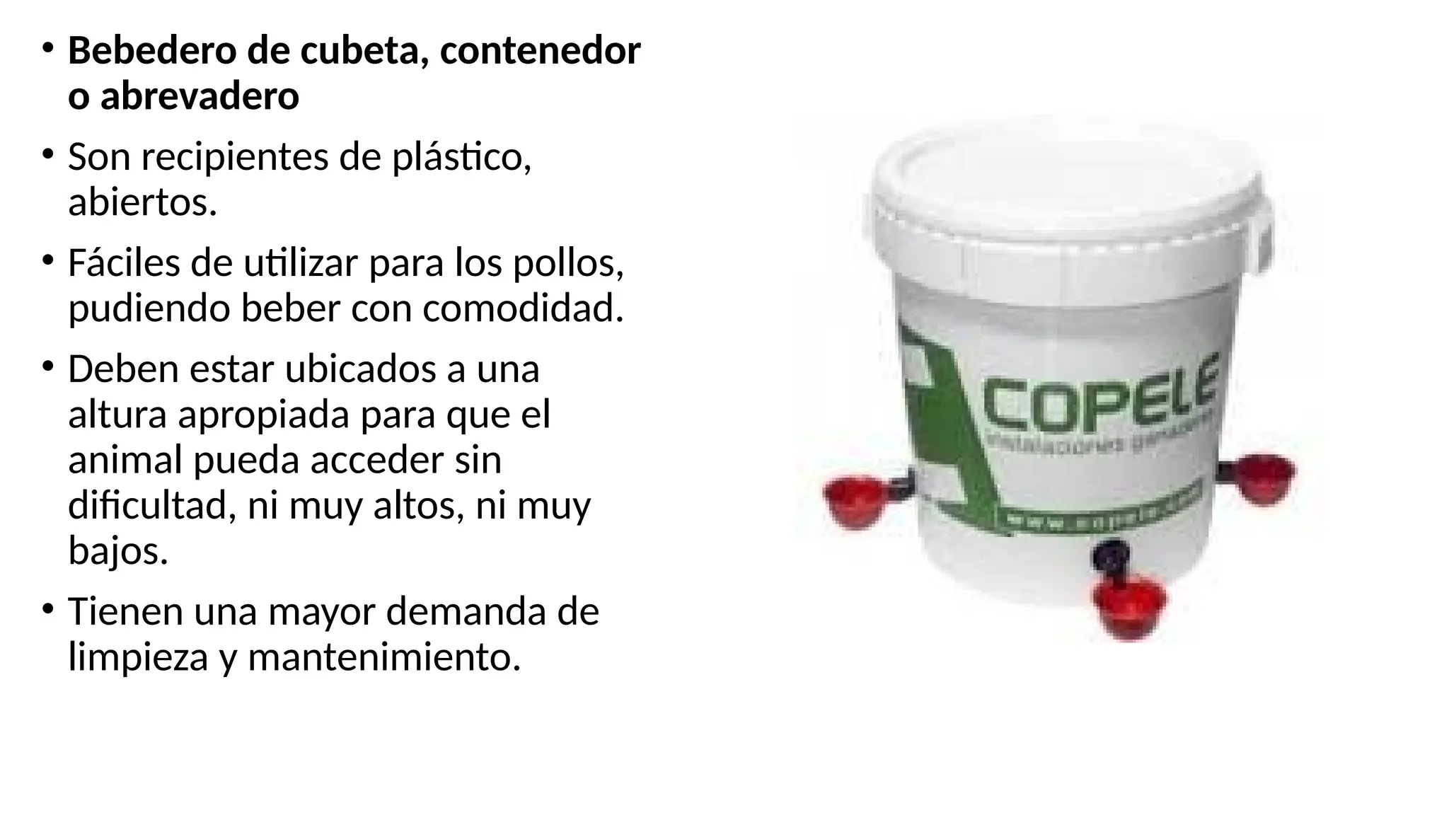 SISTEMA INTENSIVO DE ENGORDA DE GALLINAS.pptx