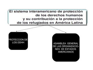 PROTECCION DE  LOS DDHH ASAMBLEA  GENERAL DE LAS ORGANIZACIO- NES  DE ESTADOS  AMERCIANOS 