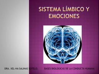 Sistema límbico Y EMOCIONES DRA. XEL-HA SALINAS SOTELO. BASES BIOLOGICAS DE LA CONDUCTA HUMANA 