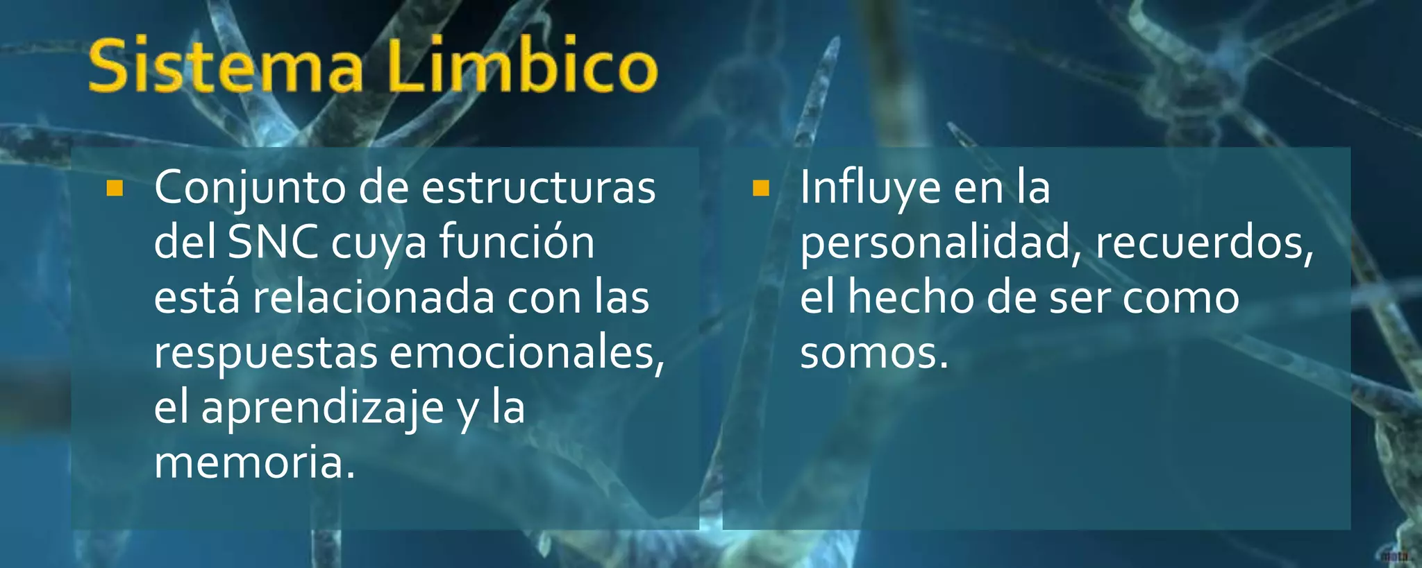  Conjunto de estructuras
del SNC cuya función
está relacionada con las
respuestas emocionales,
el aprendizaje y la
memoria.
 Influye en la
personalidad, recuerdos,
el hecho de ser como
somos.
 
