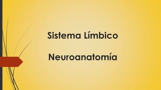 Sistema Límbico
Neuroanatomía
 