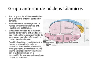 Grupo anterior de núcleos tálamicos
• Son un grupo de núcleos cerebrales
en el territorio anterior del tálamo
cerebral.
• Tradionalmente se incluye solo un
núcleo en territorio tálamico ant.
(Núcleo ant. Del tálamo).
• El resto son núcleos de asociación
dentro del territorio ant. De tálamo
que reciben fibras principalmente de
los cuerpos mamilares formando el
tracto mamilo-tálamico.
• Función: funciones relacionadas a la
memoria, aprendizaje y ciertas
conductas emocionales alimenticia,
albergue y sexo. El territorio ant. Del
tálamo se relaciona muy íntamente
con el sistema límbico en la
correlación de funciones atonómicas y
conductas emotivas.
 