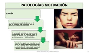 PATOLOGÍAS MOTIVACIÓN
APATÍA
La apatía es un estado de ánimo en el
que la persona, se encuentra sin el
deseo por realizar una actividad.
Es un estado anímico de una persona
caracterizado por la falta de vigor o
energía, la desidia y la insensibilidad a
las estimulaciones y débil motividad.
Cuando la apatía se muestra en el
grupo en general se va transformando
en un círculo que menoscaba la
productividad, la creatividad, la actitud
y termina disconforme o insatisfecho.
27
BASES BIOLÓGICAS DEL COMPORTAMIENTO
 
