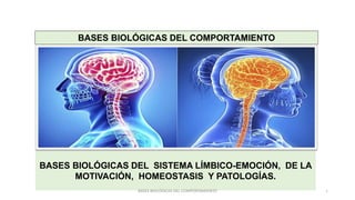 1
BASES BIOLÓGICAS DEL COMPORTAMIENTO
BASES BIOLÓGICAS DEL SISTEMA LÍMBICO-EMOCIÓN, DE LA
MOTIVACIÓN, HOMEOSTASIS Y PATOLOGÍAS.
BASES BIOLÓGICAS DEL COMPORTAMIENTO
 