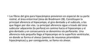 • Las fibras del giro para hipocámpico provienen en especial de su parte
rostral, el área entorrinal (área de Brodmann 28). Constituyen la
principal aferencia al hipocampo, el giro dentado y el subículo, a los
que llegan por dos vías. La principal aferencia sigue a través del área
subicular adyacente (la perfora) en camino hacia el hipocampo y el
giro dentado y en consecuencia se denomina vía perforante. Una
aferencia más pequeña llega al hipocampo en la superficie ventricular,
en donde se forma el alveus (axones de neuronas piramidales
hipocámpicas) y, por consiguiente, se llama vía alvear.
 