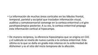 • La información de muchas áreas corticales en los lóbulos frontal,
temporal, parietal y occipital que trasladan información visual,
auditiva y somatosensorial converge en la corteza entorrinal y el giro
parahipocámpico posterior. A su vez, la corteza entorrinal propaga
esta información cortical al hipocampo.
• De manera recíproca, la eferencia hipocámpica que se origina en CA1
y el subículo se revela de nueva cuenta a la corteza entorrinal. Esta
última es la que se daña en grado más intenso en la enfermedad de
Alzheimer y es el sitio del inicio temprano de la afección.
 