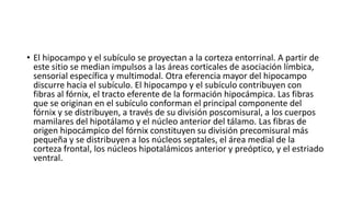 • El hipocampo y el subículo se proyectan a la corteza entorrinal. A partir de
este sitio se median impulsos a las áreas corticales de asociación límbica,
sensorial específica y multimodal. Otra eferencia mayor del hipocampo
discurre hacia el subículo. El hipocampo y el subículo contribuyen con
fibras al fórnix, el tracto eferente de la formación hipocámpica. Las fibras
que se originan en el subículo conforman el principal componente del
fórnix y se distribuyen, a través de su división poscomisural, a los cuerpos
mamilares del hipotálamo y el núcleo anterior del tálamo. Las fibras de
origen hipocámpico del fórnix constituyen su división precomisural más
pequeña y se distribuyen a los núcleos septales, el área medial de la
corteza frontal, los núcleos hipotalámicos anterior y preóptico, y el estriado
ventral.
 