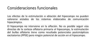 Consideraciones funcionales
Los efectos de la estimulación o ablación del hipocampo no pueden
valorarse aislados de los sistemas elaborados de comunicación
hipocámpica.
El hipocampo no interviene en la olfación. No es posible seguir vías
directas de la corteza olfatoria primaria al hipocampo, la estimulación
del bulbo olfatorio tiene como resultado potenciales postsinápticos
excitatorios (PPSE) pero ningún potencial de acción en el hipocampo.
 