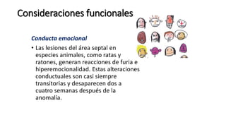 Consideraciones funcionales
Conducta emocional
• Las lesiones del área septal en
especies animales, como ratas y
ratones, generan reacciones de furia e
hiperemocionalidad. Estas alteraciones
conductuales son casi siempre
transitorias y desaparecen dos a
cuatro semanas después de la
anomalía.
 