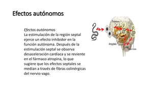 Efectos autónomos
Efectos autónomos
La estimulación de la región septal
ejerce un efecto inhibidor en la
función autónoma. Después de la
estimulación septal se observa
desaceleración cardíaca y se reviente
en el fármaco atropina, lo que
sugiere que los efectos septales se
median a través de fibras colinérgicas
del nervio vago.
 