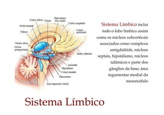 Sistema Límbico
Sistema Límbico inclui
todo o lobo límbico assim
como os núcleos subcorticais
associados como complexo
amigdalóide, núcleos
septais, hipotálamo, núcleos
talâmicos e parte dos
gânglios da base; área
tegumentar medial do
mesencéfalo
 