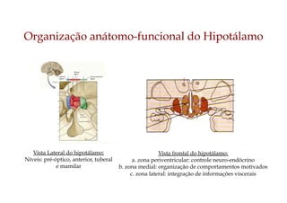 Vista frontal do hipotálamo:
a. zona periventricular: controle neuro-endócrino
b. zona medial: organização de comportamentos motivados
c. zona lateral: integração de informações viscerais
Organização anátomo-funcional do Hipotálamo
Vista Lateral do hipotálamo:
Níveis: pré-óptico, anterior, tuberal
e mamilar
 