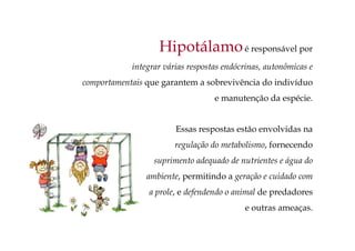 Essas respostas estão envolvidas na
regulação do metabolismo, fornecendo
suprimento adequado de nutrientes e água do
ambiente, permitindo a geração e cuidado com
a prole, e defendendo o animal de predadores
e outras ameaças.
Hipotálamoé responsável por
integrar várias respostas endócrinas, autonômicas e
comportamentais que garantem a sobrevivência do indivíduo
e manutenção da espécie.
 