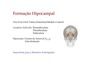 Formação Hipocampal
Área Entorrinal: Córtex Entorrinal Medial e Lateral
Complexo Subicular: Parasubiculum
Presubiculum
Subiculum
Hipocampo: Cornos de Amon (CA1,2,3)
Giro denteado
Importante para a Memória Anterógrada
 