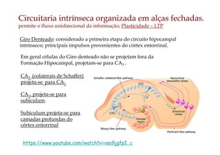 CA3 (colaterais de Schaffer)
projeta-se para CA1
CA1, projeta-se para
subiculum.
Subiculum projeta-se para
camadas profundas do
córtex entorrinal
Circuitaria intrínseca organizada em alças fechadas.
permite o fluxo unidirecional da informação; Plasticidade – LTP
Giro Denteado: considerado a primeira etapa do circuito hipocampal
intrínseco; principais impulsos provenientes do córtex entorrinal.
Em geral células do Giro denteado não se projetam fora da
Formação Hipocampal, projetam-se para CA3 .
https://www.youtube.com/watch?v=vso9jgfpI_c
 