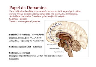 Papel da Dopamina
É um indicador da saliência do estímulo ou evento; indica que algo é válido
para se prestar atenção; indica quando algo está associado à recompensa.
A atividade das células DA reflete quão desejável é o objeto.
Saliência – atenção
Valência – recompensa/punição
Sistema Mesolímbico - Recompensa
Projeções do VTA para ACC, OBFm
Amígdala, Hipocampo e Accumbens.
Sistema Nigroestriatal – Saliência
Sistema Mesocortical
Projeções importantes para o Córtex Pré-frontal Medial e
Neocórtex
 