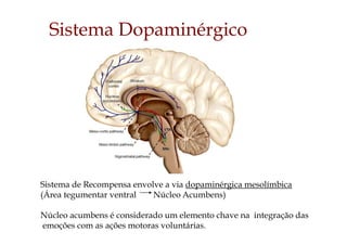 Sistema Dopaminérgico
Sistema de Recompensa envolve a via dopaminérgica mesolímbica
(Área tegumentar ventral Núcleo Acumbens)
Núcleo acumbens é considerado um elemento chave na integração das
emoções com as ações motoras voluntárias.
 