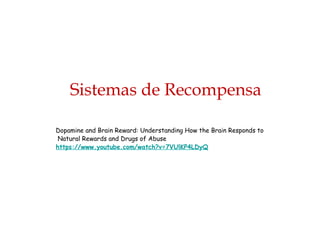Dopamine and Brain Reward: Understanding How the Brain Responds to
Natural Rewards and Drugs of Abuse
https://www.youtube.com/watch?v=7VUlKP4LDyQ
Sistemas de Recompensa
 
