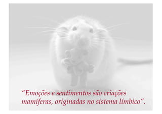 “Emoções e sentimentos são criações
mamíferas, originadas no sistema límbico”.
 