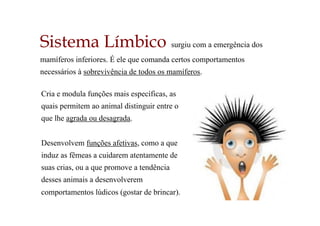Sistema Límbico surgiu com a emergência dos
mamíferos inferiores. É ele que comanda certos comportamentos
necessários à sobrevivência de todos os mamíferos.
Cria e modula funções mais específicas, as
quais permitem ao animal distinguir entre o
que lhe agrada ou desagrada.
Desenvolvem funções afetivas, como a que
induz as fêmeas a cuidarem atentamente de
suas crias, ou a que promove a tendência
desses animais a desenvolverem
comportamentos lúdicos (gostar de brincar).
 