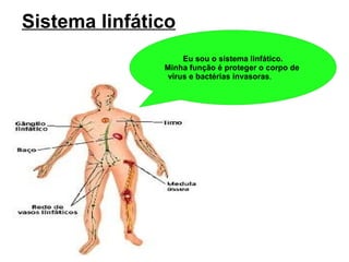 Sistema linfático Eu sou o sistema linfático. Minha função é proteger o corpo de  vírus e bactérias invasoras .  
