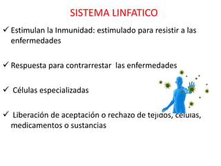 SISTEMA LINFATICO
 Estimulan la Inmunidad: estimulado para resistir a las
  enfermedades

 Respuesta para contrarrestar las enfermedades

 Células especializadas

 Liberación de aceptación o rechazo de tejidos, células,
 medicamentos o sustancias
 