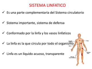 SISTEMA LINFATICO
 Es una parte complementaria del Sistema circulatorio

 Sistema importante, sistema de defensa

 Conformado por la linfa y los vasos linfaticos

 La linfa es la que circula por todo el organismo

 Linfa es un liquido acuoso, transparente
 