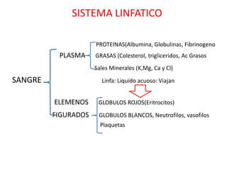 SISTEMA LINFATICO

                     PROTEINAS(Albumina, Globulinas, Fibrinogeno
          PLASMA     GRASAS (Colesterol, trigliceridos, Ac Grasos
                     Sales Minerales (K,Mg, Ca y Cl)

SANGRE                 Linfa: Liquido acuoso: Viajan


         ELEMENOS     GLOBULOS ROJOS(Eritrocitos)

         FIGURADOS    GLOBULOS BLANCOS, Neutrofilos, vasofilos
                       Plaquetas
 