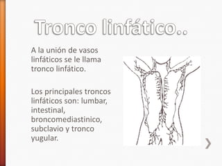 A la unión de vasos
linfáticos se le llama
tronco linfático.

Los principales troncos
linfáticos son: lumbar,
intestinal,
broncomediastinico,
subclavio y tronco
yugular.
 