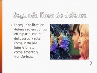» La segunda línea de
  defensa se encuentra
  en la parte interna
  del cuerpo y esta
  compuesta por
  interferones,
  complemento y
  transferinas.
 