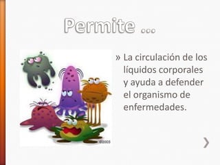 » La circulación de los
  líquidos corporales
  y ayuda a defender
  el organismo de
  enfermedades.
 